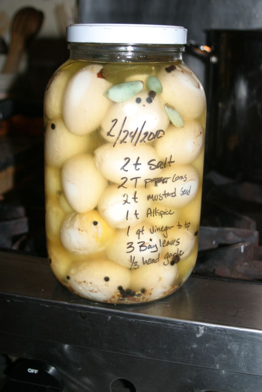 Putting up spring’s surplus: Pickled Eggs | The Cultured Home